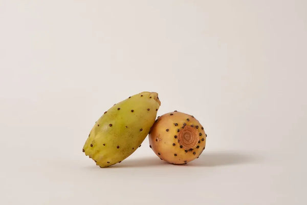 Prickly Pear (Cactus) Extract