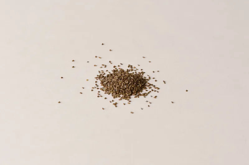 Tara_ecommerce_Ingredients_CelerySeeds.webp