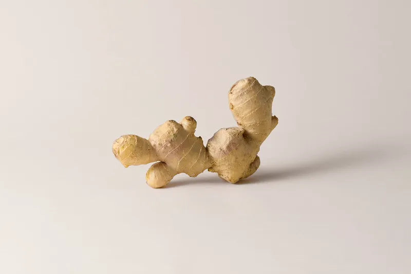 Tara_ecommerce_Ingredients_Ginger.webp