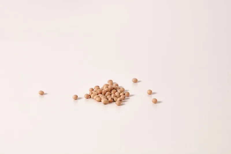 Soybean Seed Extract