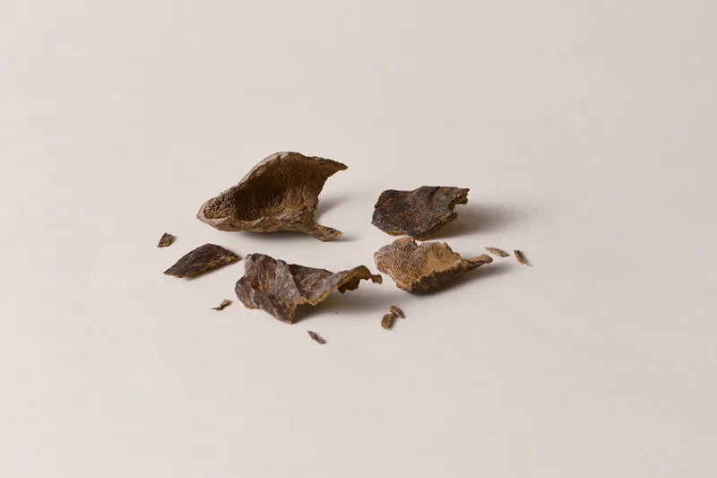 Inga Alba Bark